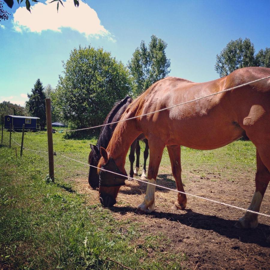 Willa La Roulotte Du Moulin De Palet Baugé Zewnętrze zdjęcie